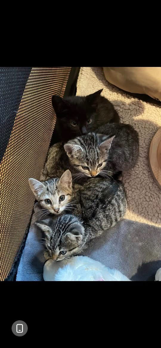 6 Minimiezen